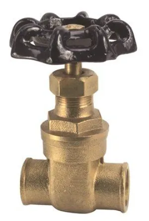 Gate Valve 3/4 Inch  Ips