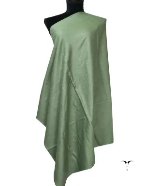 Plain Pashmina Shawl In Shade-273